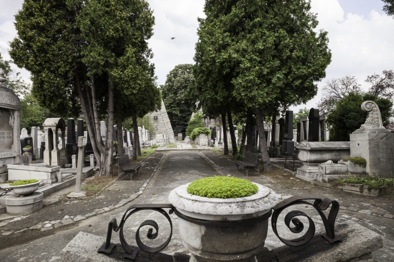 Datei:Jüdischer Friedhof Beograd.jpg