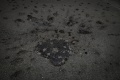 Rosen von Sarajevo Asphalt.jpg